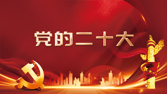 党的二十大