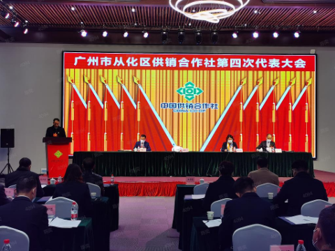 已编辑图片