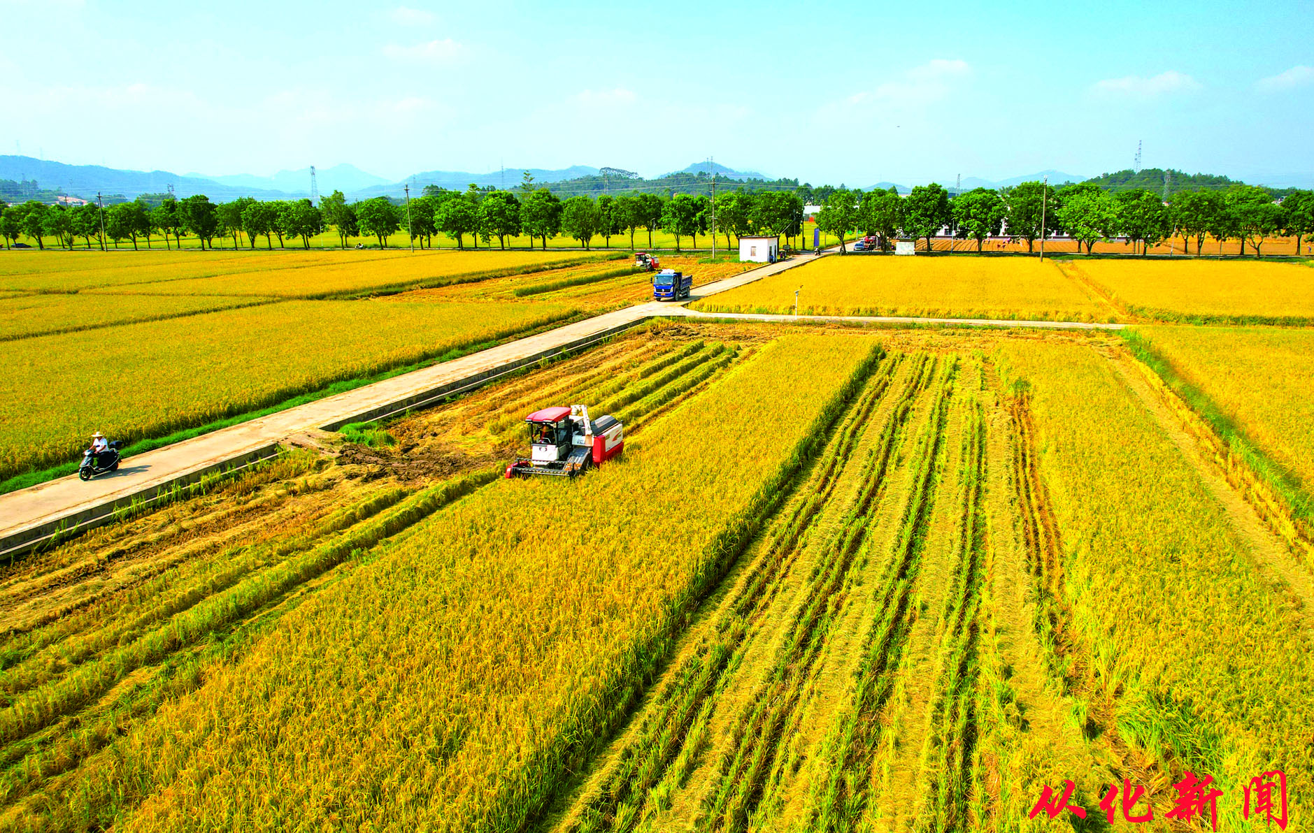 田间地头一片丰收景象.jpg