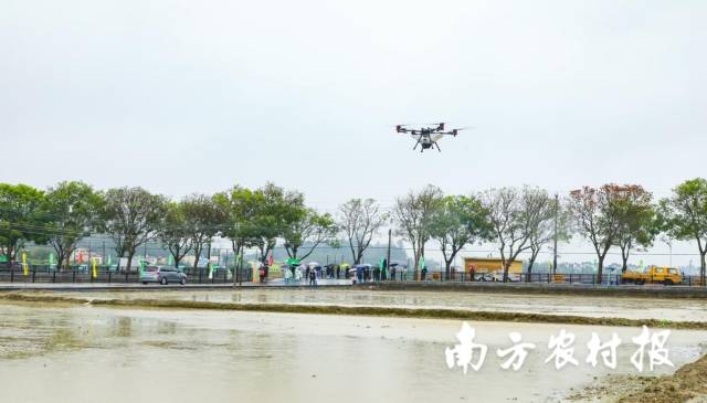 1 活动现场，2024年广东省春耕现场会农机作业演示及展示活动、广州市水稻种植机械化技术推广培训暨春耕现场会同期举行。.jpg