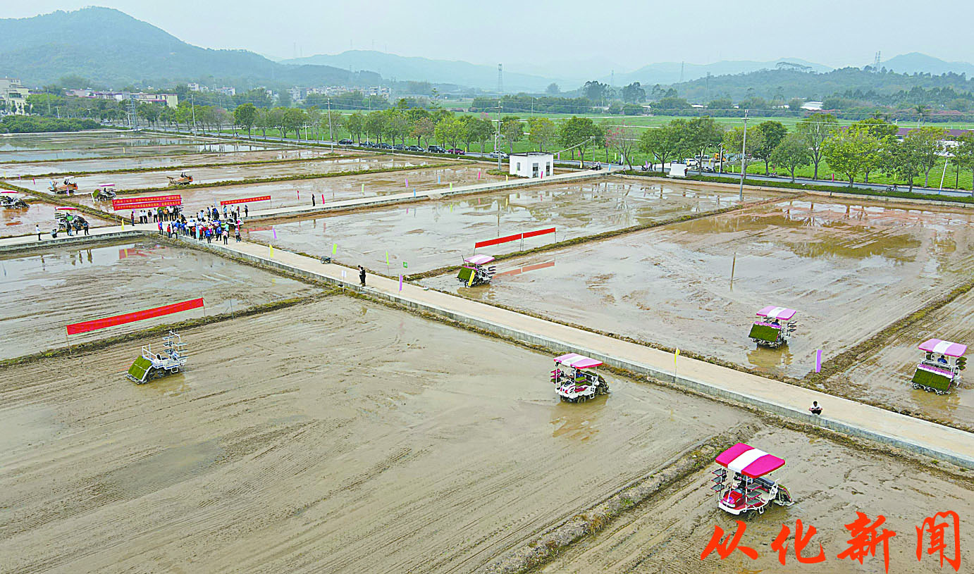 大--春耕时节，田间地头一派农忙景象。.jpg
