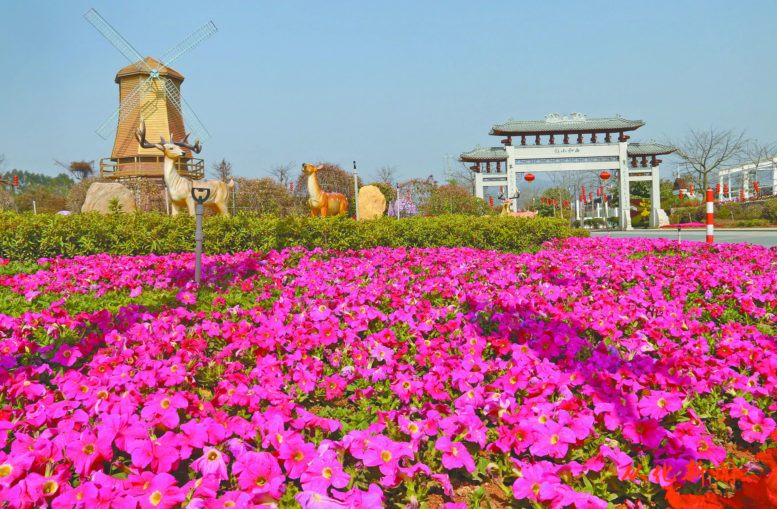 西和万花风情小镇繁花似锦.jpg