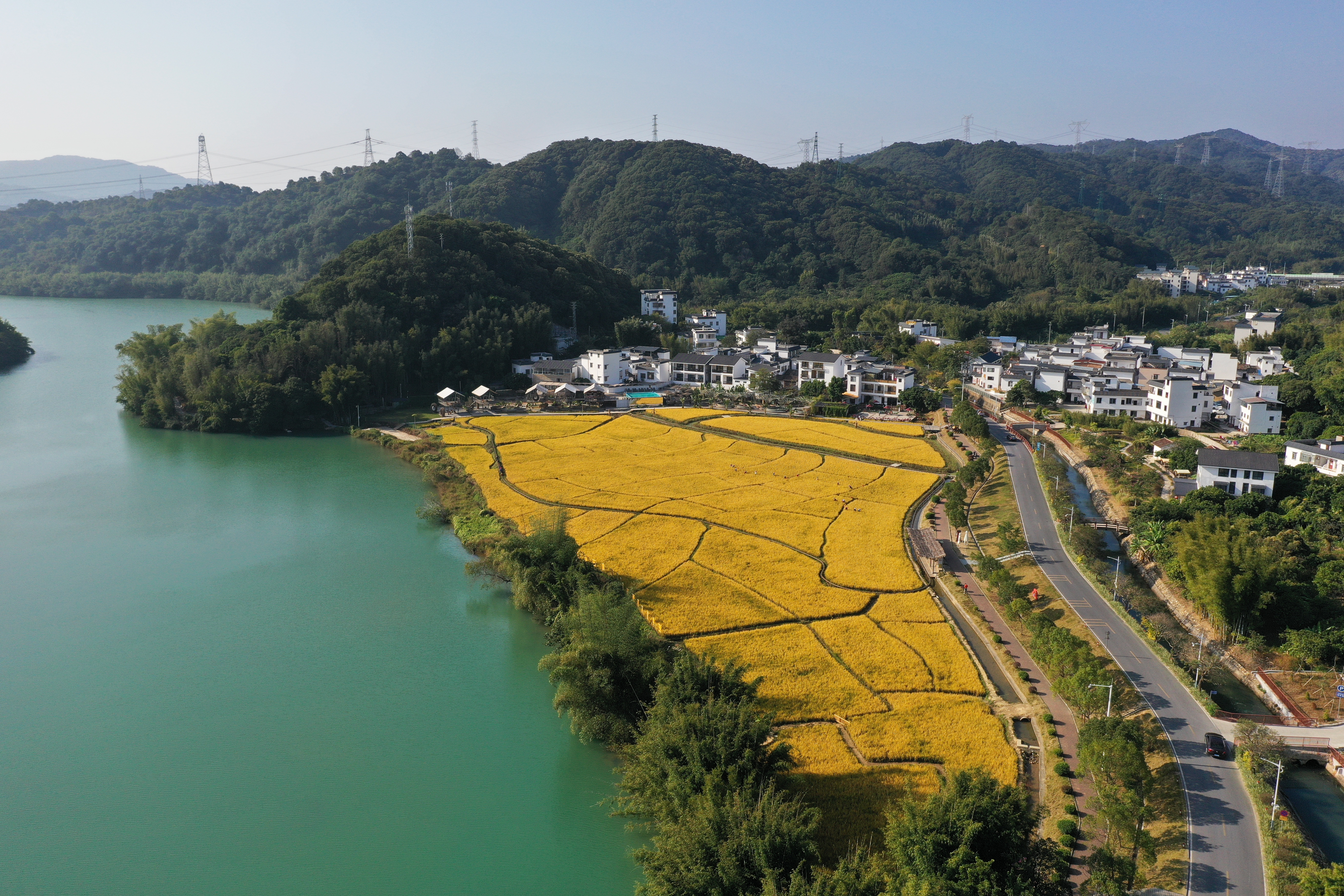 米埗小镇1.JPG