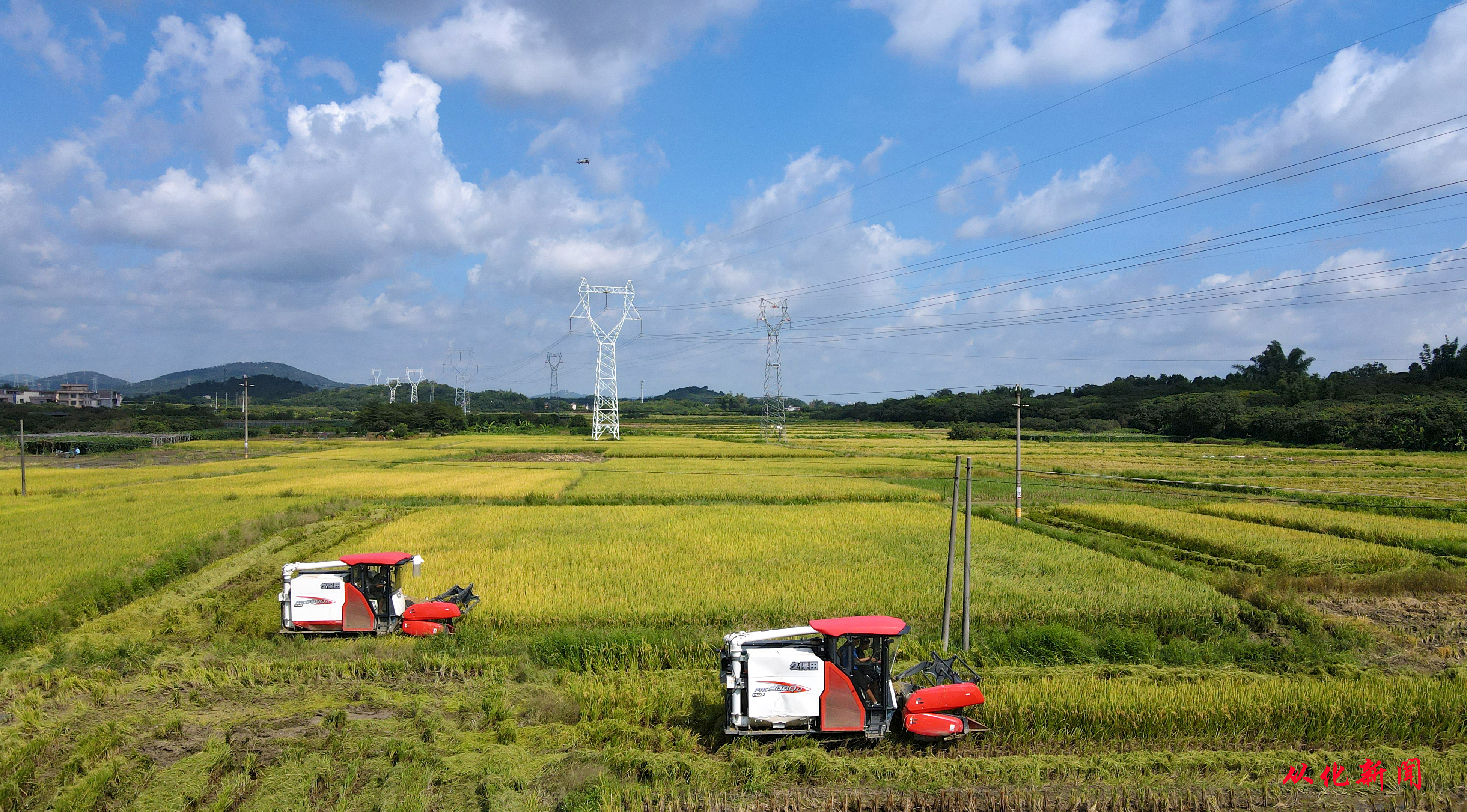 DJI_0067.jpg