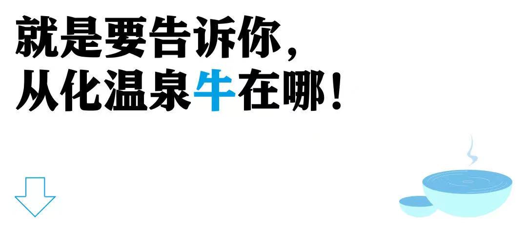 4374361b-f80c-490a-8baa-b968f252f3ab.jpg