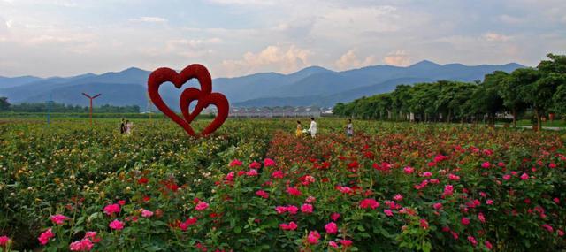 春暖花开 从化乡约——广州从化旅游企业向全国医护人员致爱