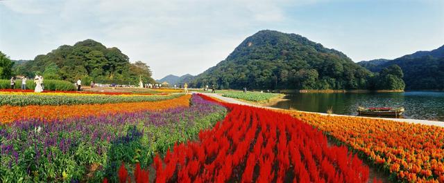 春暖花开 从化乡约——广州从化旅游企业向全国医护人员致爱