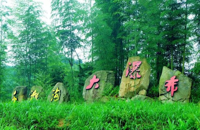 春暖花开 从化乡约——广州从化旅游企业向全国医护人员致爱