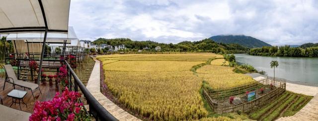 春暖花开 从化乡约——广州从化旅游企业向全国医护人员致爱