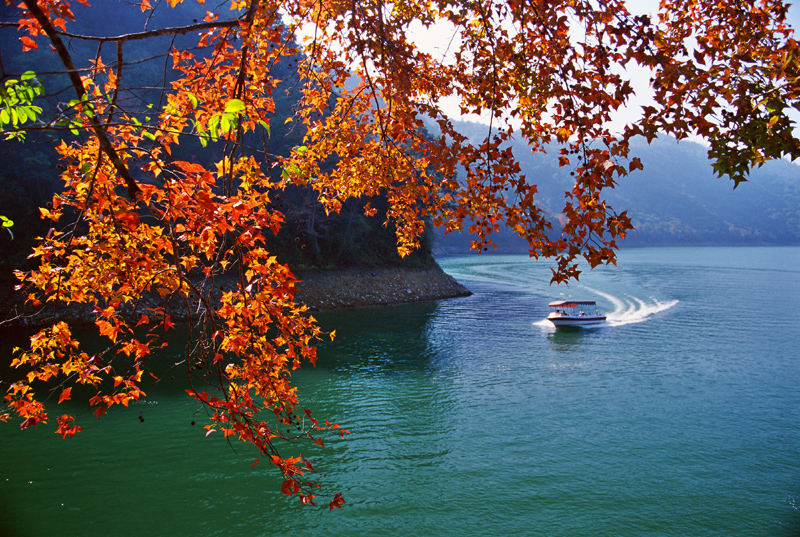 流溪河国家森林公园