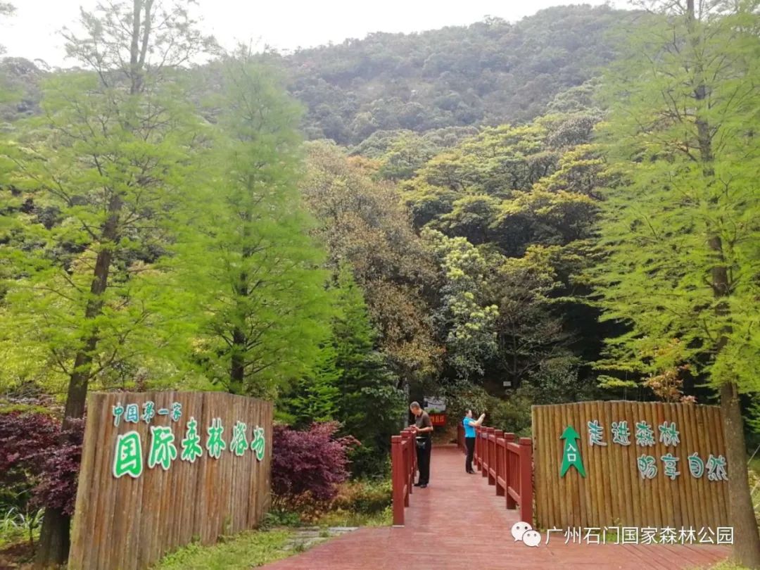 从化荔枝精品两天一夜游线路（二）
