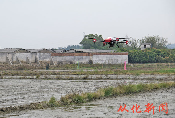 无人机直接播种.jpg