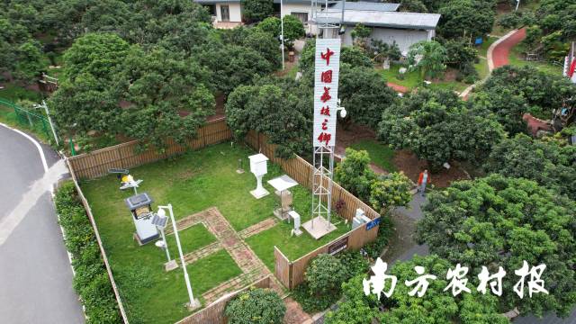4 智能化生态荔枝园-气象站.jpg