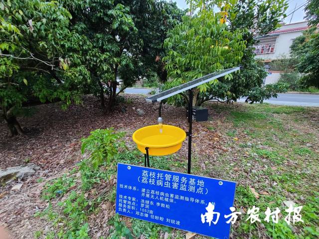5 智能化生态荔枝园-病虫害检测.jpg