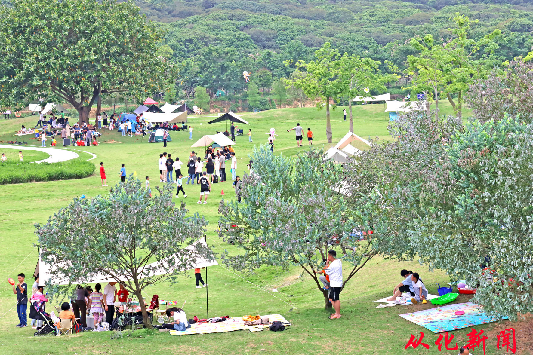 市民游客享受野餐乐趣  李晓彤摄.jpg