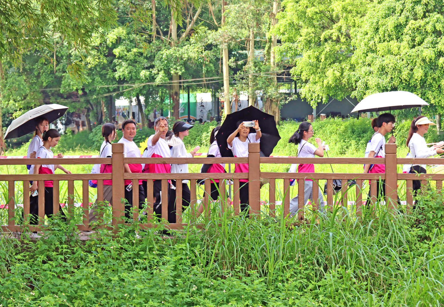 参赛者一边徒步一边欣赏沿途美景.jpg
