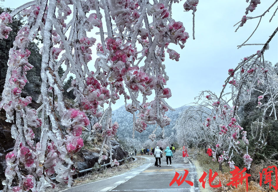 邬影红1.jpg