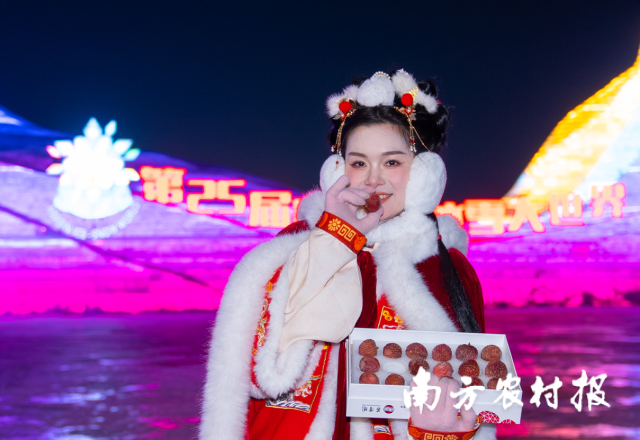 2 1月22日，广州从化冻眠荔枝首次亮相哈尔滨。.png