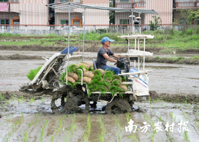 2 2024年广州市供销合作总社农业社会化服务社村合作推介会现场展示农田机械化播种。.png