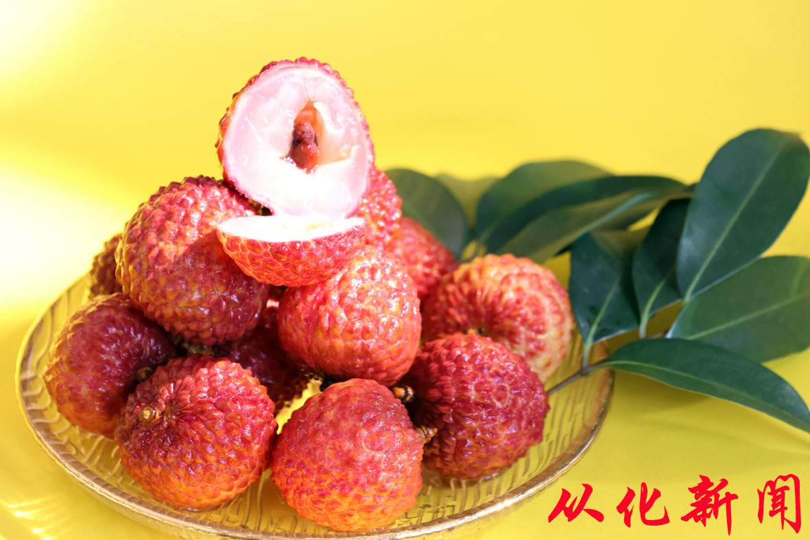 解冻后的荔枝仍鲜美如初.jpg