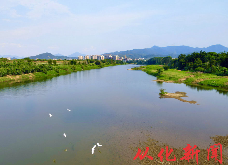全区地表水环境质量在全市名列前茅.jpg