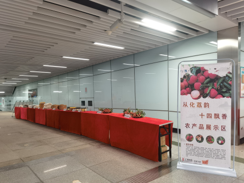 6.25 从化‘荔’韵，十四飘香”展览会.jpg
