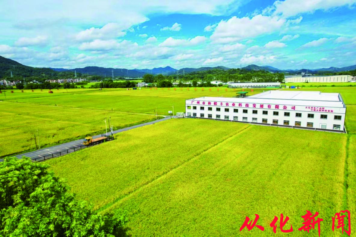 我区积极推动农用地提质增效工作，图为鳌头镇中塘村垦造水田项目。.jpg
