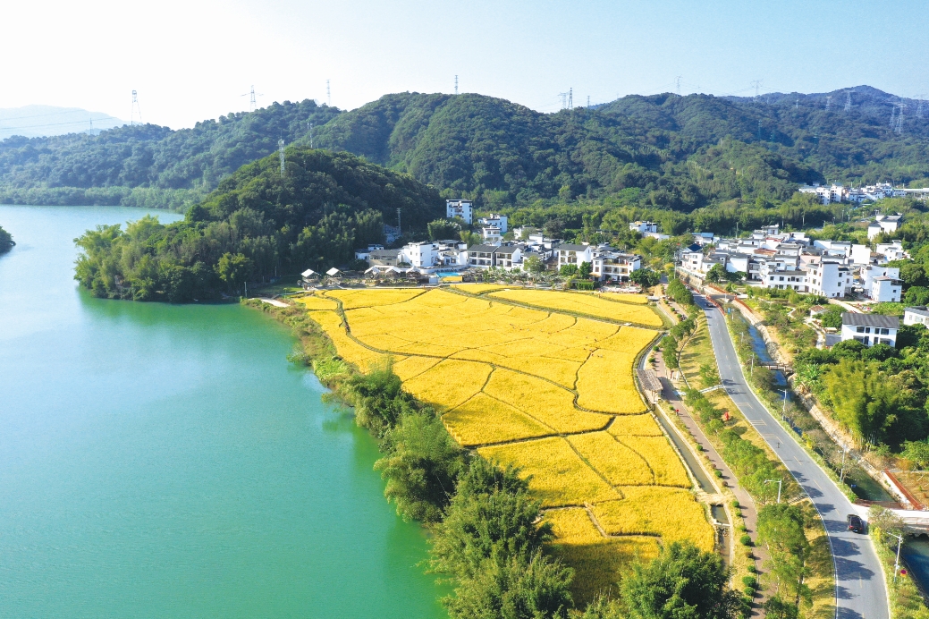 从化美丽乡村  等你来“打卡”