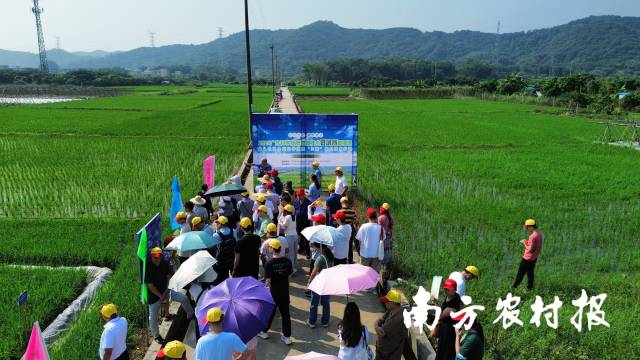 1 田讲所直播现场.jpg