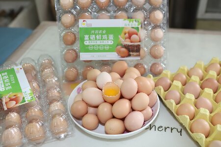 鸡舍3.jpg