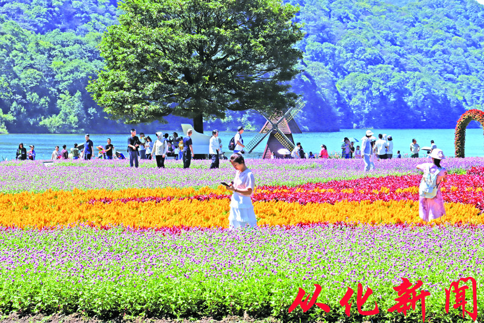 石门公园天池花海人气旺盛 李晓彤摄.jpg