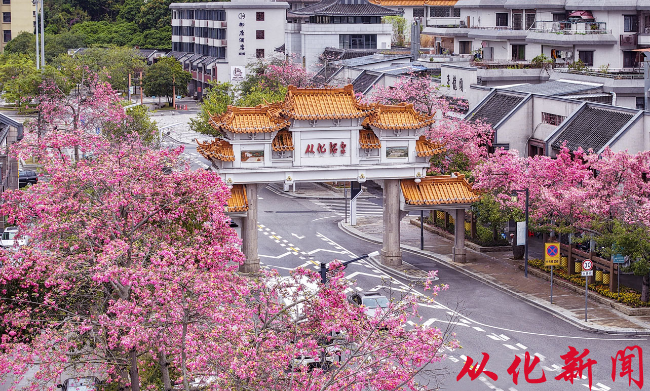 大图.jpg