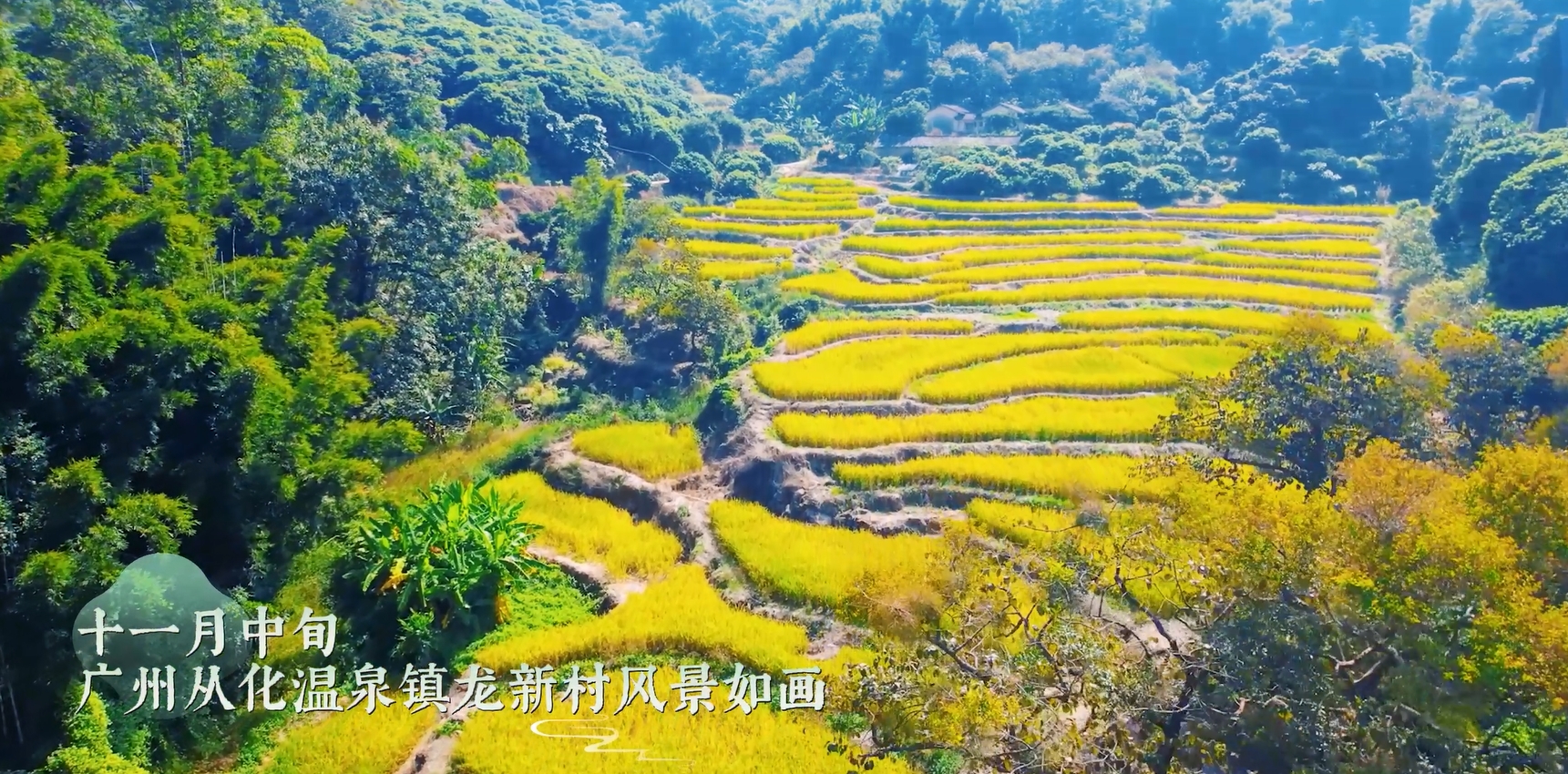 温泉镇龙新村冬景如画