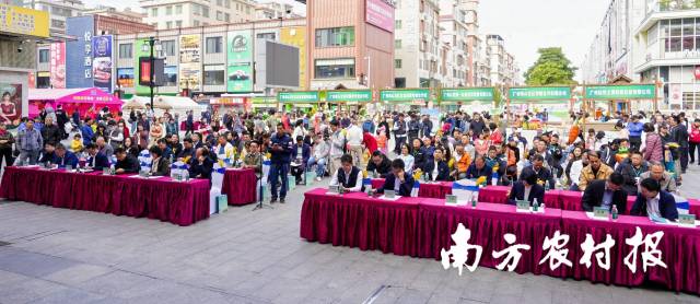 2 2024年广州市从化区首届蔬菜冬种节暨蔬菜品种发布推广活动现场。.jpg