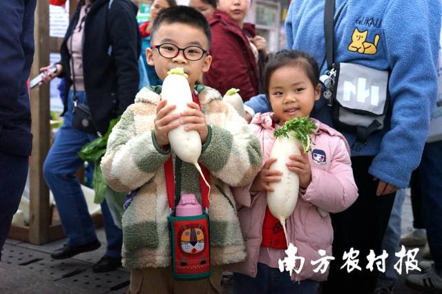 5 从化“小市民”与他们钟爱的冬种蔬菜。.jpg