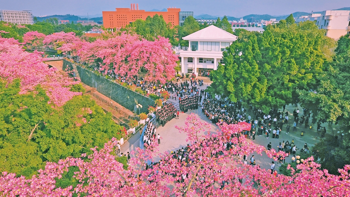 从化区推出四季赏花路线  全年花事不断  邀你共赏美景