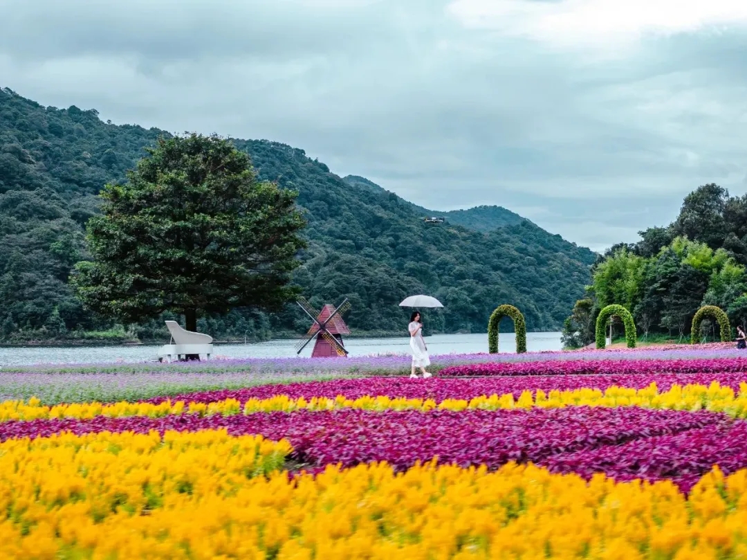 【区文广旅体局】芳华悦动女神节，乐游从化醉春约！