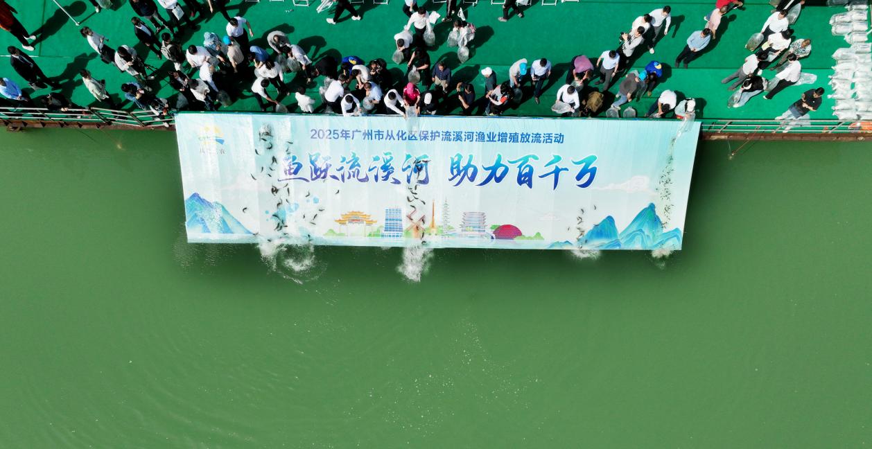 图片7.jpg