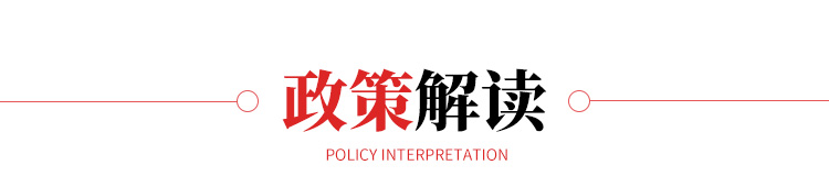 政策解读