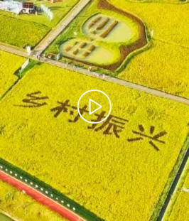观看乡村振兴视频