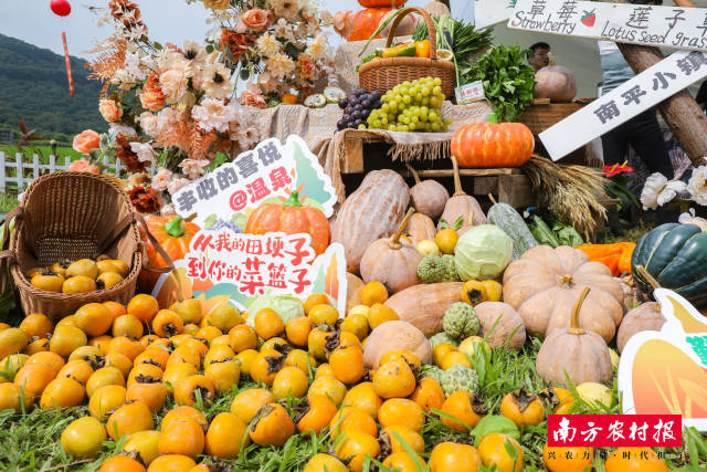 3 瓜果飘香，丰收满仓。现场设置了广州市名优农特产、从化五镇三街农特产展.jpg