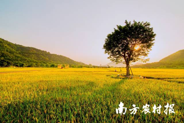 7 主会场所在的艾米农业园，就是生态从化发展都市现代农业的一处标杆.jpg