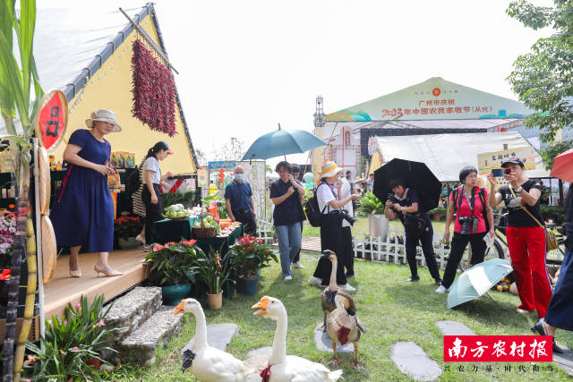 11 充满田园生机的从化五镇三街展示区.jpg
